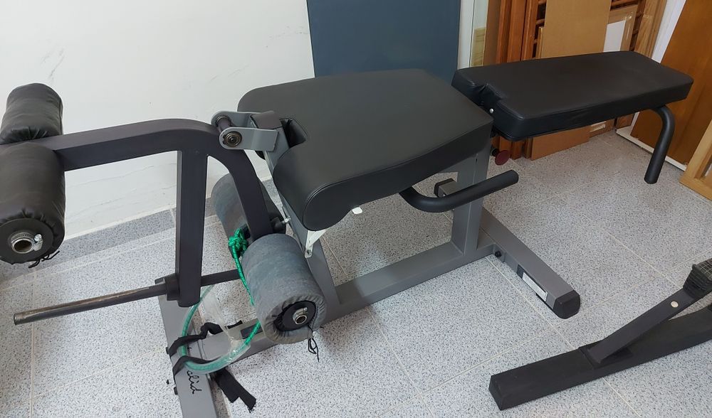 Cadeira de extensão e flexão