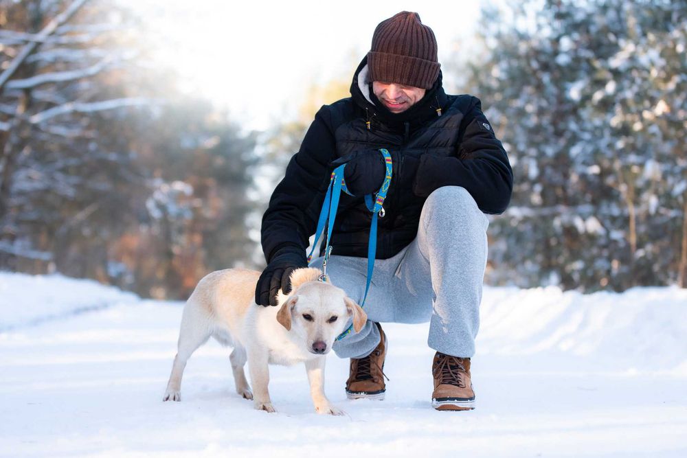 Lumea: młoda, rezolutna i przyjazna