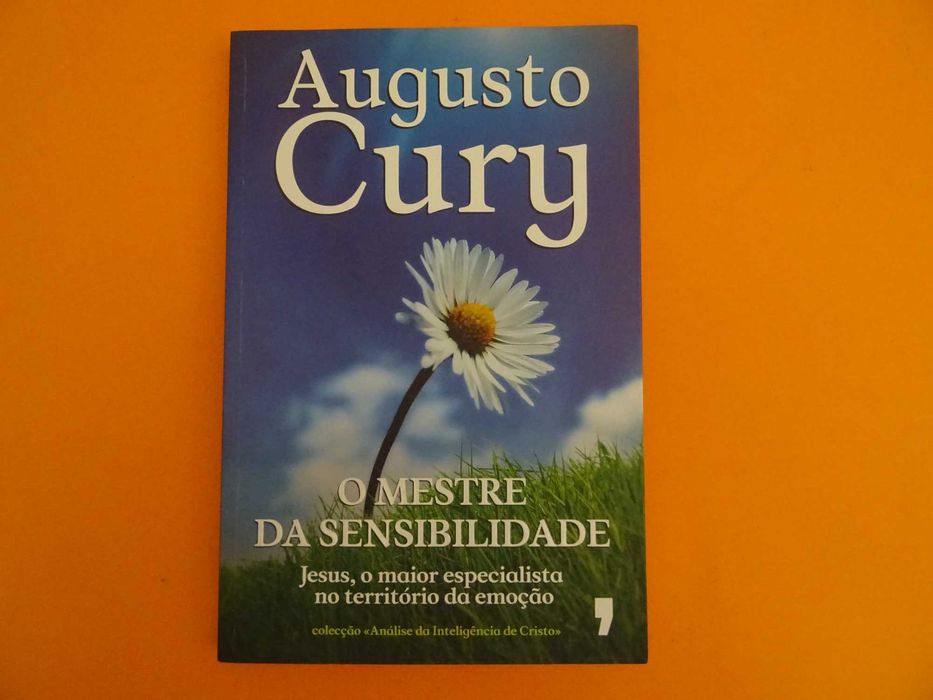 O mestre da sensibilidade - Augusto Cury