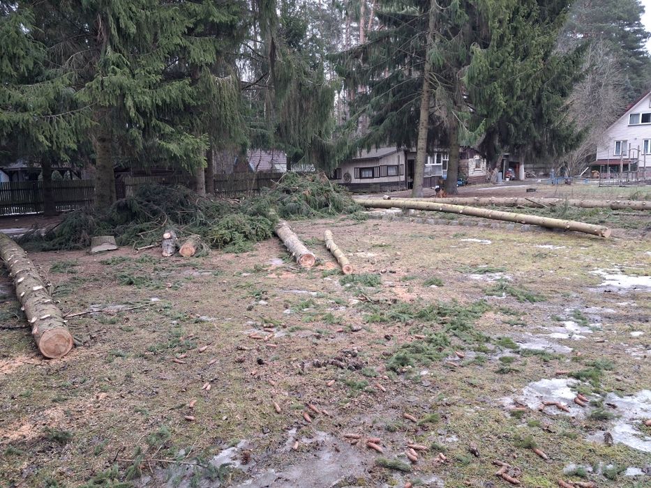 Drewno dłużyca / Świerk / Bobrowa / sprzedam