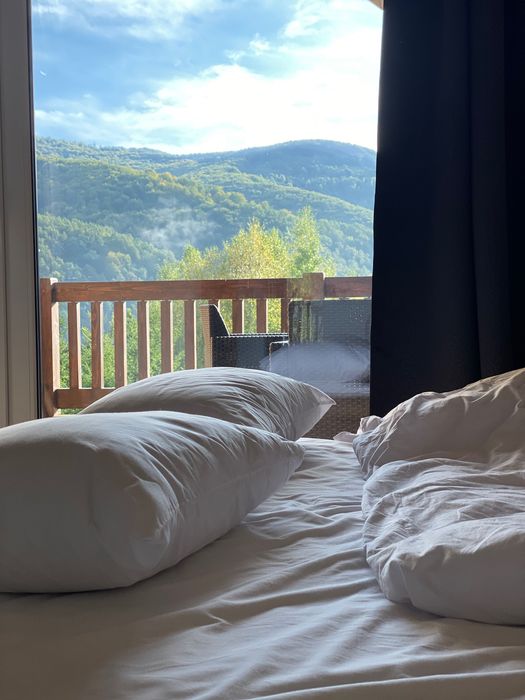 Власник ‼️Продаж діючого прибуткового бізнесу, с.Солочин, Закарпатська