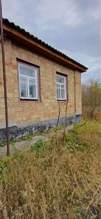 Будинок газифікований з великою ділянкою в с. Балаклея