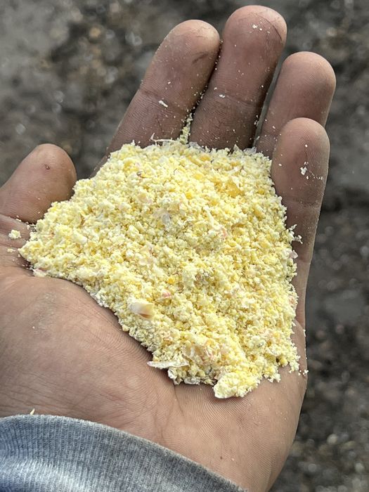 Pakowanie kukurydza mokra w rękaw big-bagi  gniotownik młyn Wysłodki