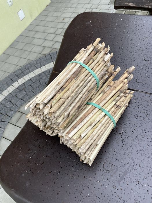 Trzcina dla murarki murarka ogrodowa 100 sztuk