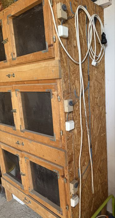 Брудер, для обігріву курчат, птиці