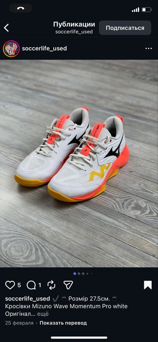 Волейбольні кросівки mizuno
