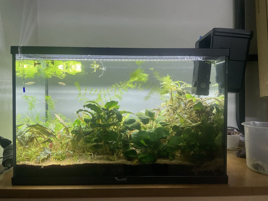 Aquario 55x30x36
