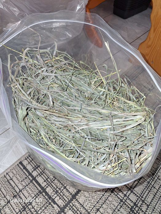 Сіно запашне зелене для гризунів та тварин