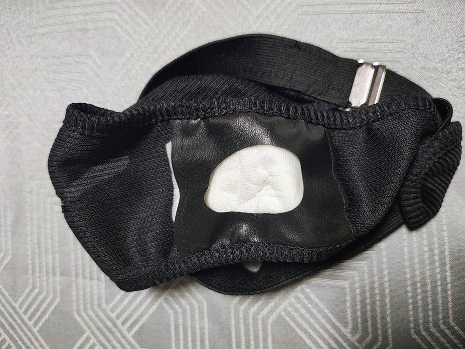 cueca cadela para cio