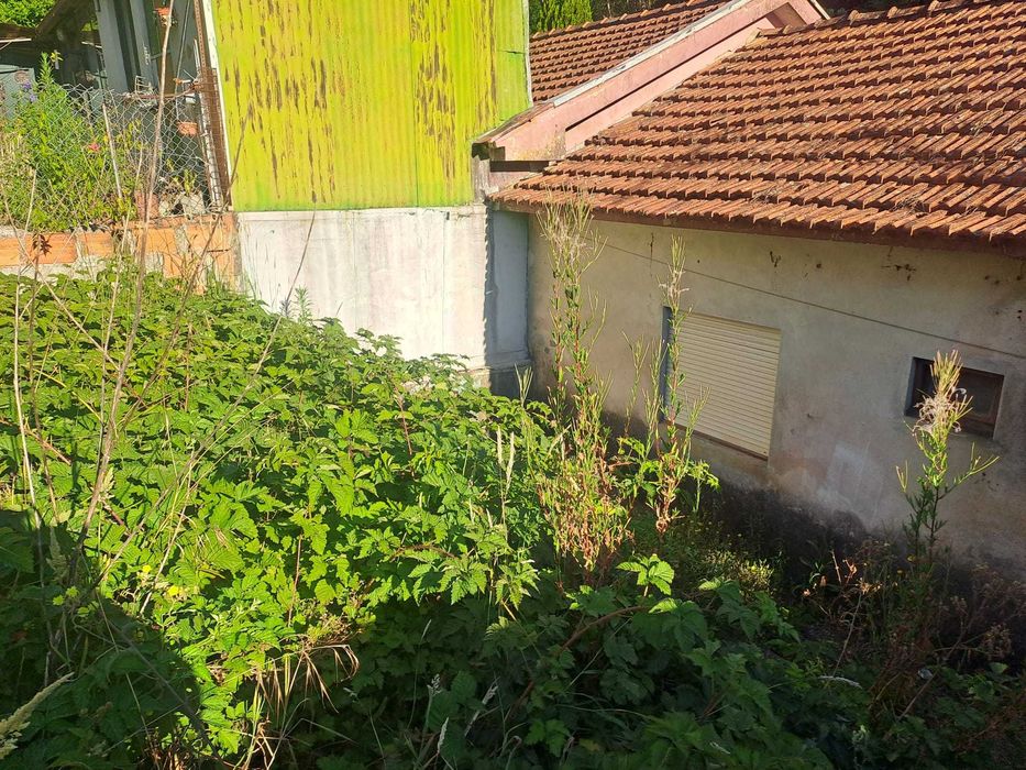 limpeza de terrenos