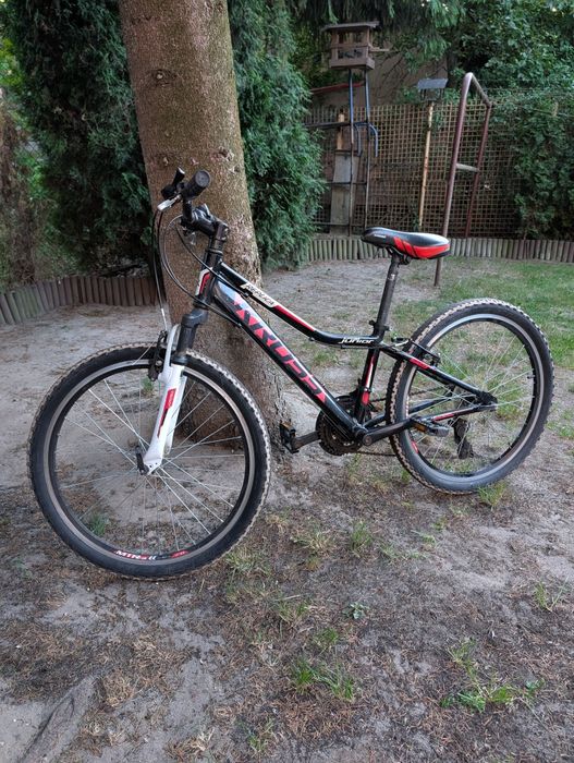 Kross Hexagon Replica Junior 24"