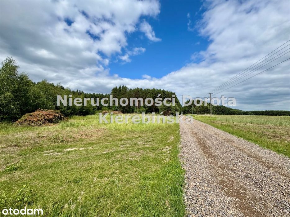 Działka, Lubochnia-Górki