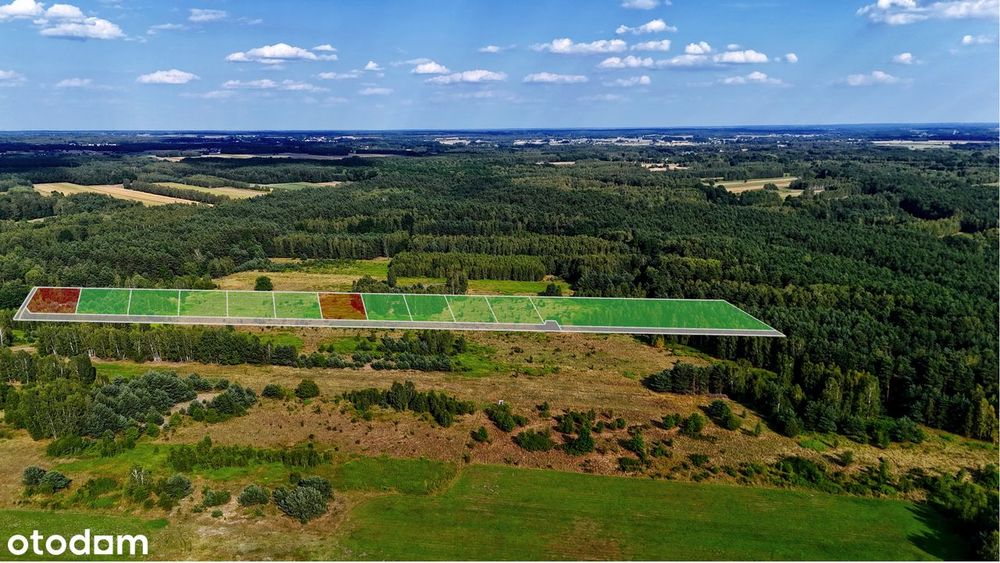 Działki budowlane w otoczeniu lasu