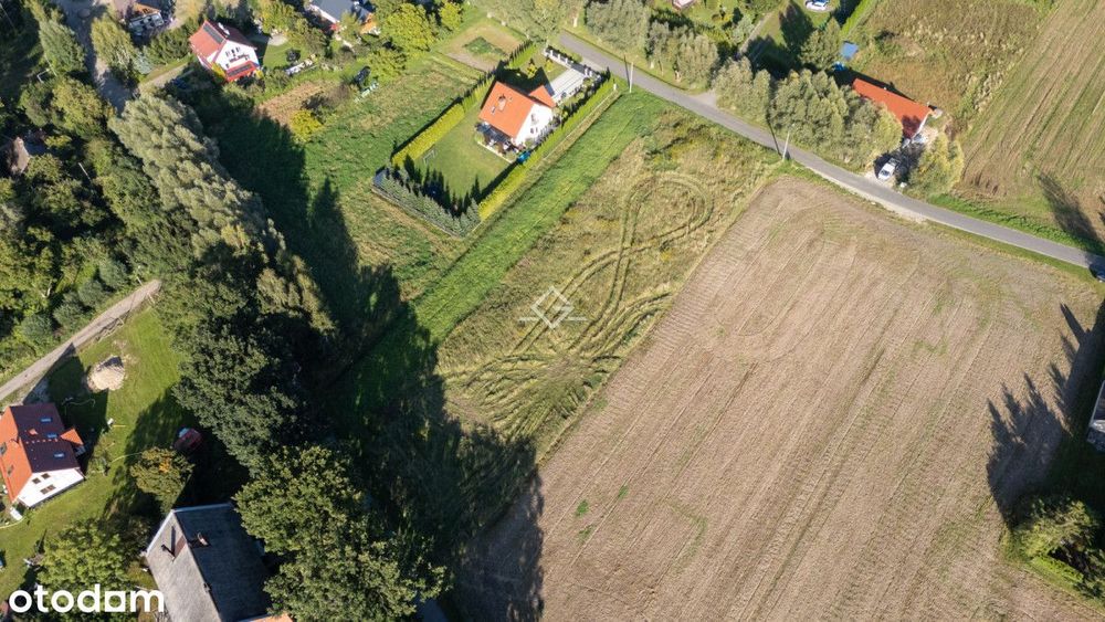 Drewnica | 2107 m² | Żuławy Wiślane