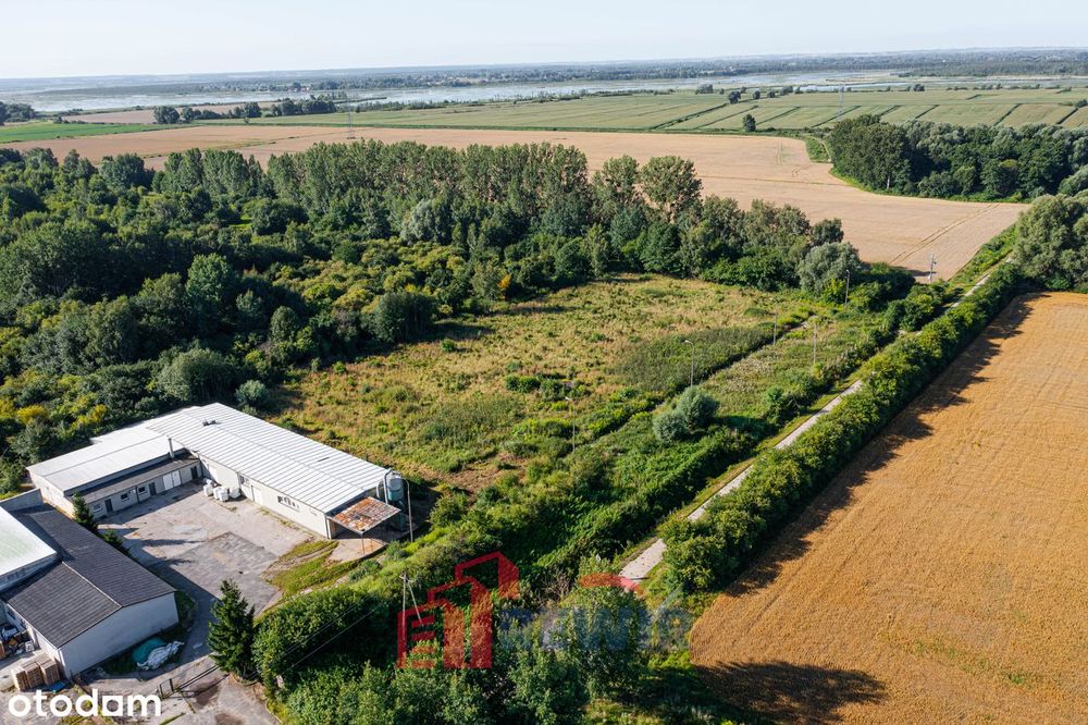 Działka inwestycyjna przy ul. Berylowej w Gronowie Górnym - Więcej