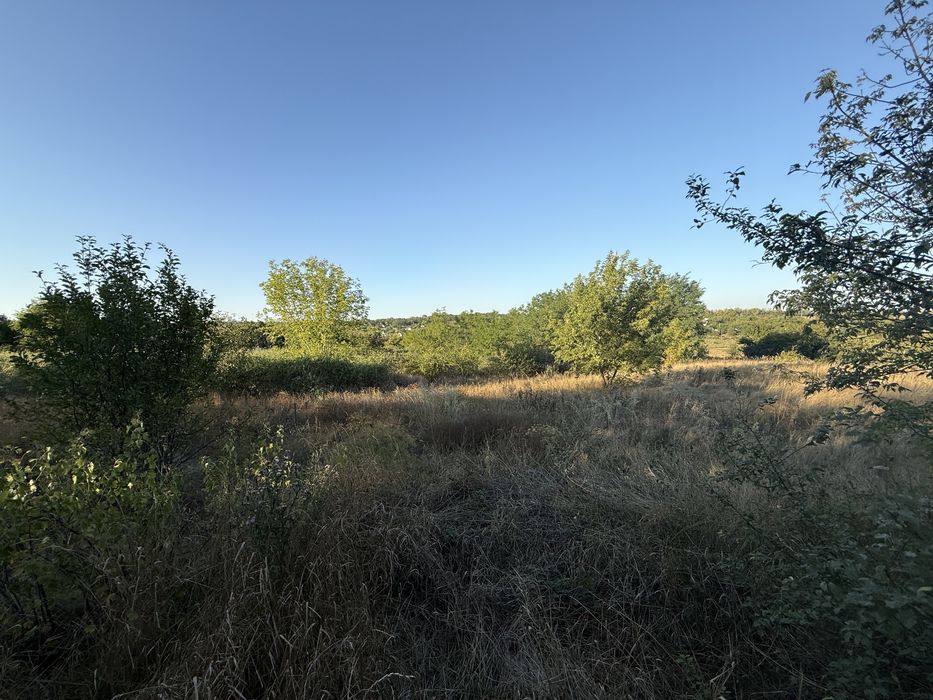 Продам будинок Сурсько-Литовське