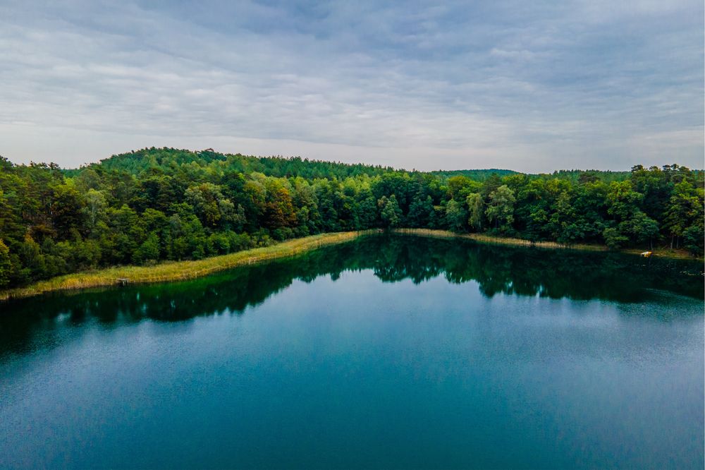 Działka -  Borowy Młyn