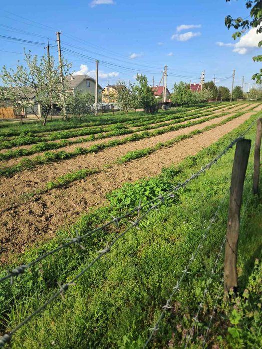 Земельна ділянка