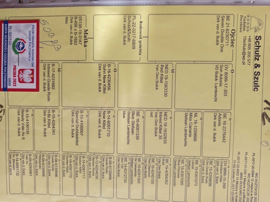 Golebie pocztowe Dirk van d. Bulck