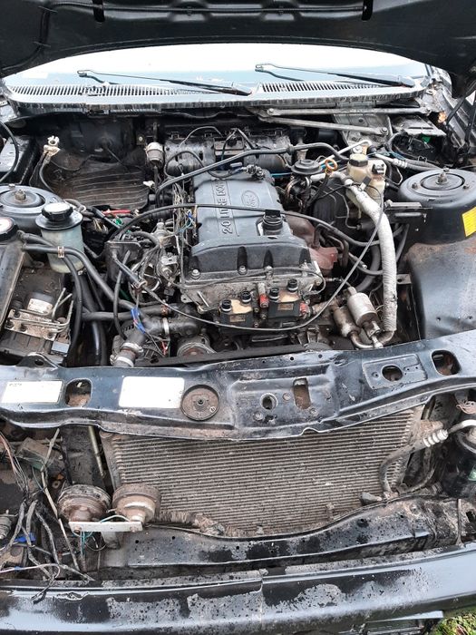 Розбор   скорпіо2