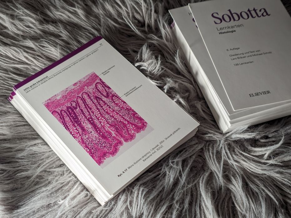 Sobotta Flashcards: Histologia, wydanie 6 fiszki