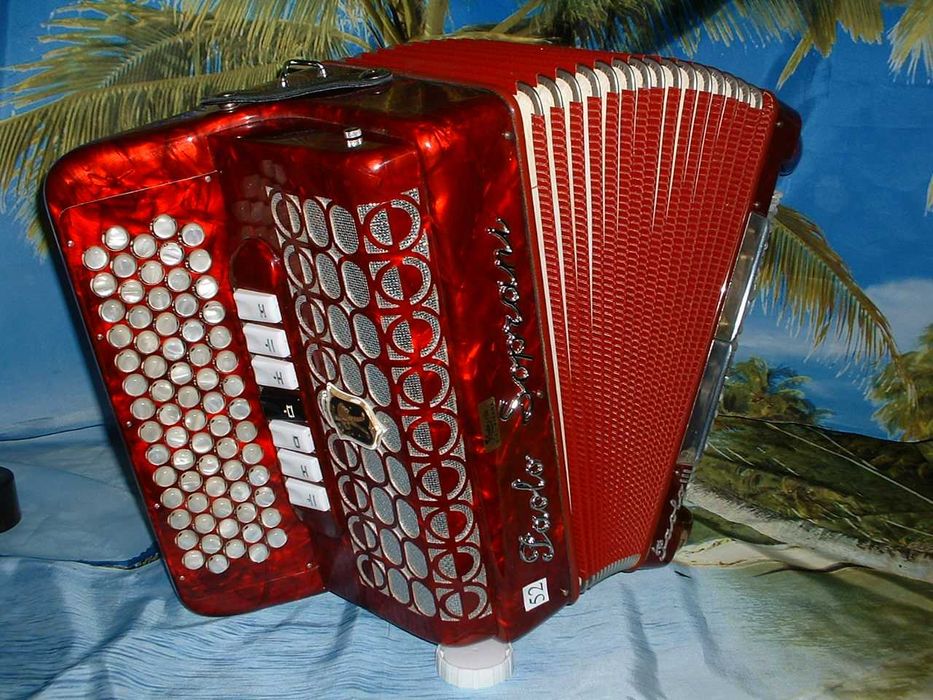 Promoção de Acordeões de concertinas