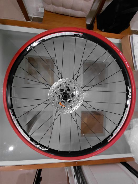 Roda traseira com pneu de rolo e disco de travão