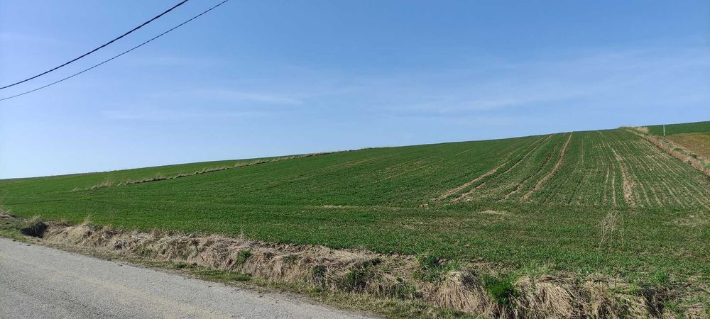 sprzedam działkę z pozwoleniem na budowę domu parterowego 120 m² - Widok 2