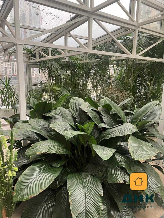 ЖК 15 Жемчужина. Архитекторская. Жемчужная ул. .Таирова. Кадорр Групп.