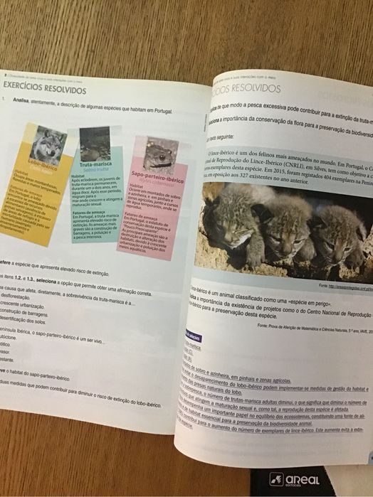 Livros de testes 5.º Ano - Ciências Naturais + História e Geografia