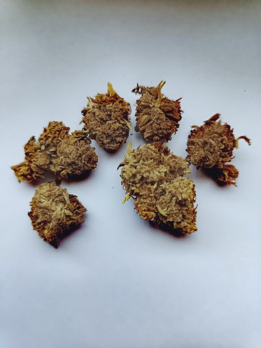 Susz konopny  CBD 1 gram AK-47