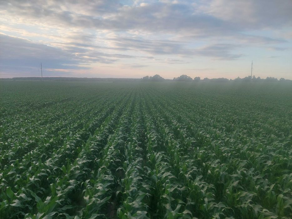 Інвестиції у землю,с/г підприємство