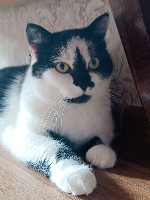 Пошук найкращих батьків