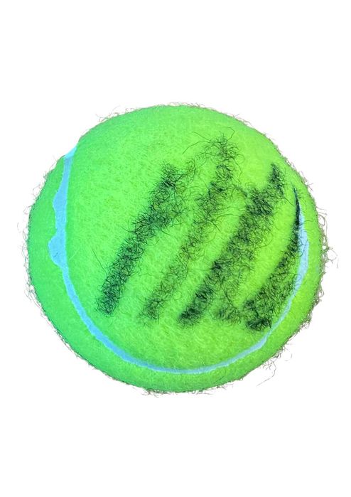 Agnieszka Radwańska US Open Wilson piłeczka tenis z autografem + cert.