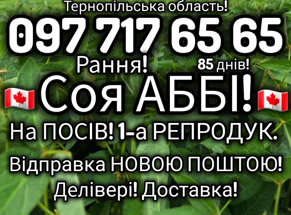 Соя АББІ! 1-а. Реп. Відправка НП! Делівері! Доставка! Без передплат!