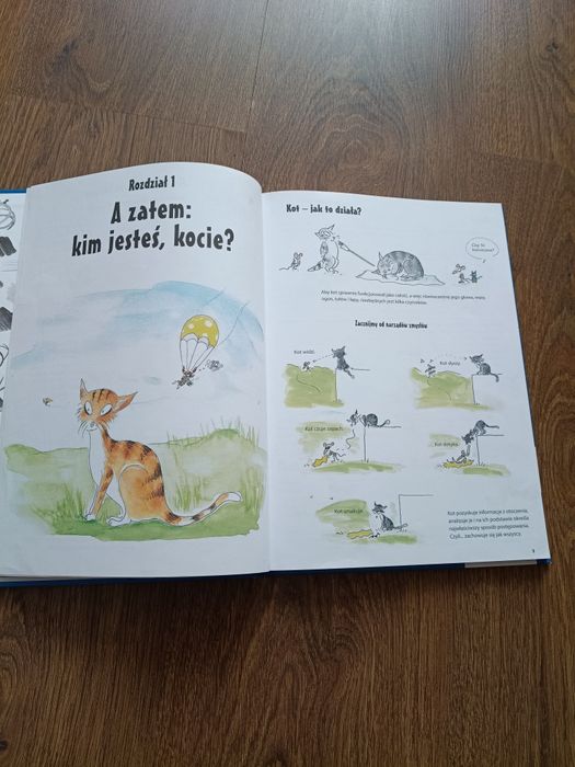 Książka Wszystko o . . . Kotach