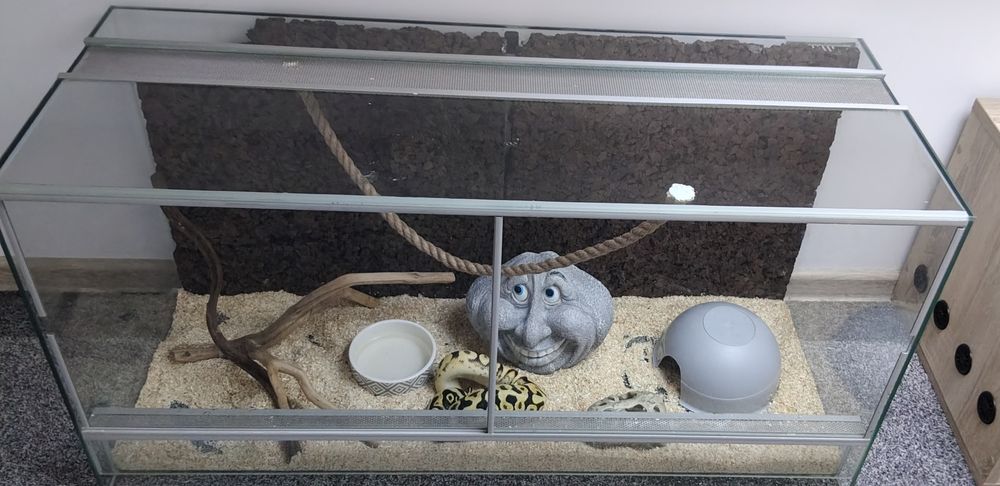 Terrarium z lokatorem
