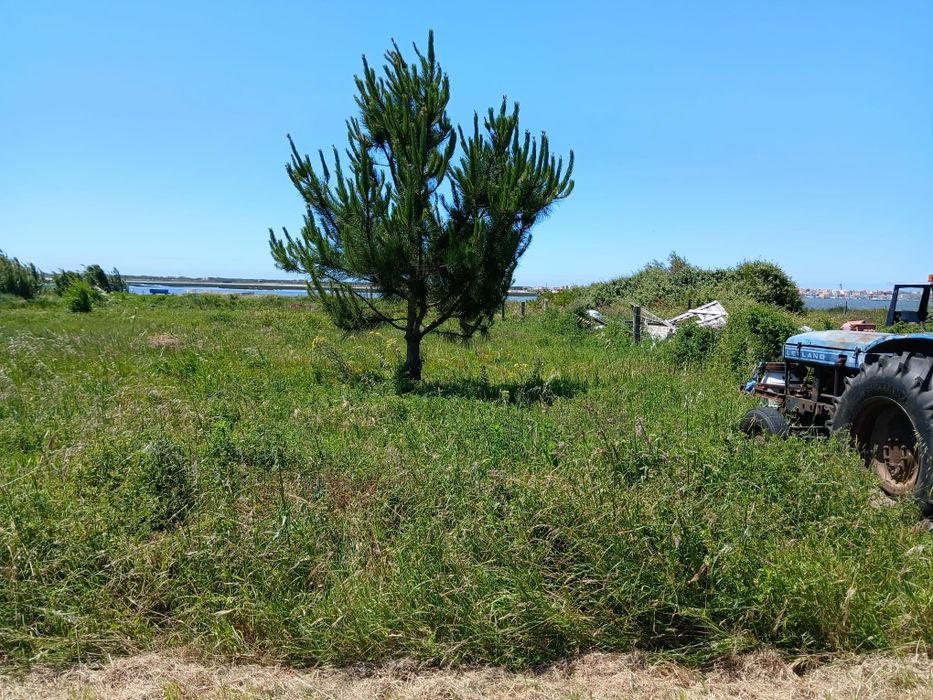 Limpeza de terrenos