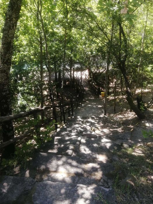 Parque de campismo e bungalows