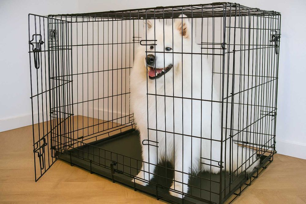 Duża Klatka Dla Psa Metalowa Kennel Kojec Nowa Transporter XXL Solidna