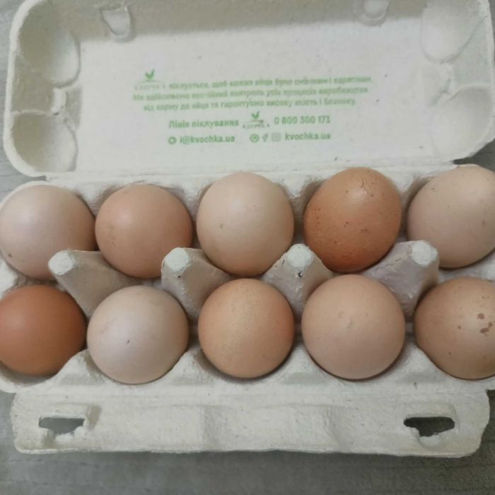 Продам домашні яйця