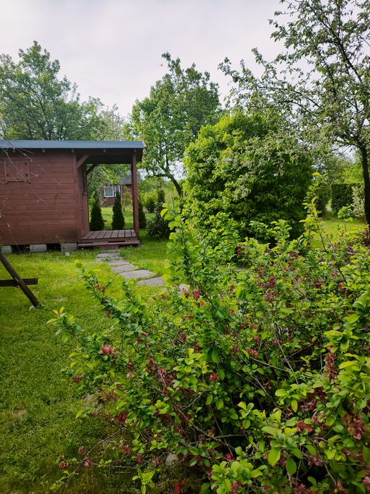 Działka ROD RELAX Iłża