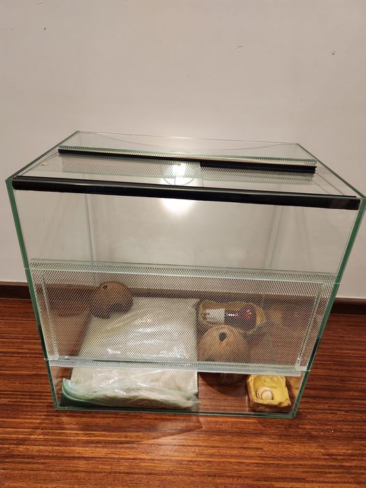 Używane terrarium 46×31x45 cm