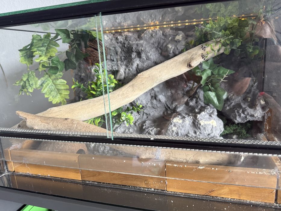 Terrarium dla gekona