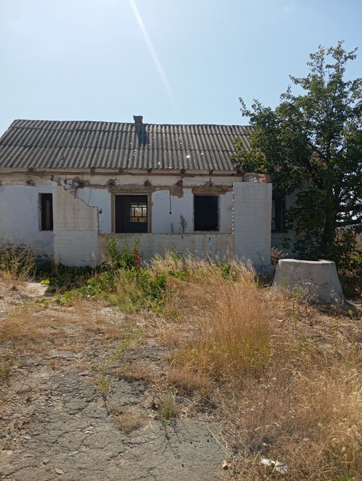Продається будинок з господарськими будівлями