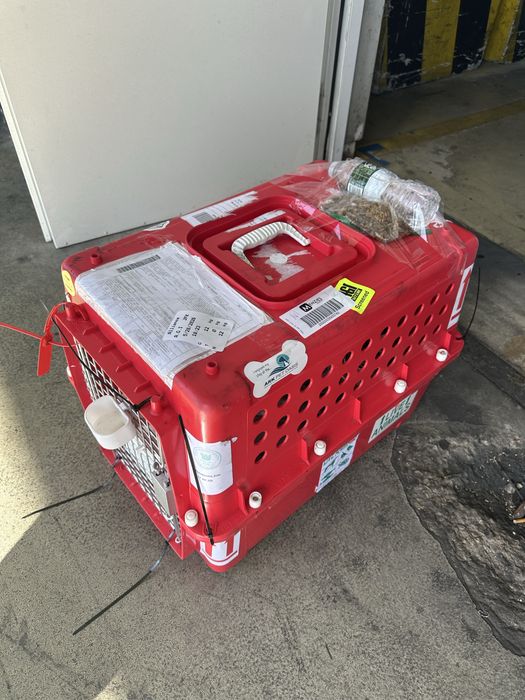 Transportadora para animais - IATA