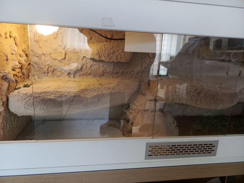 Terrarium gady agama 41cmx120cm 60 cm wys