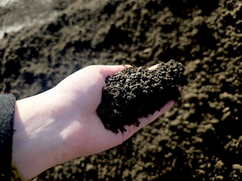 Torf Siany Biała Podlaska | Wólka Plebańska 107 UiP Kazimierz Semeniuk