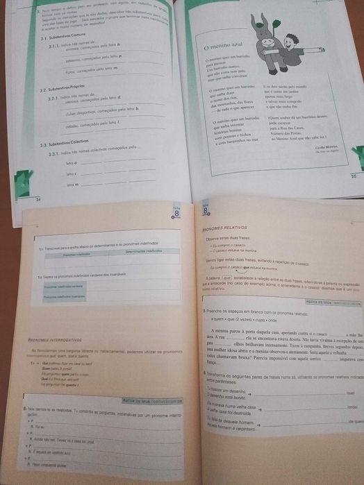 Cadernos de actividades de Português 6ºano