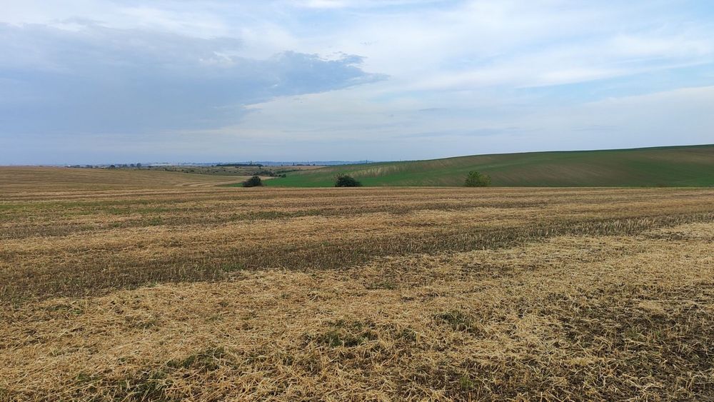 Пай 6.7га. Велика Омеляна. Неподалік об'їздної на Здолбунів